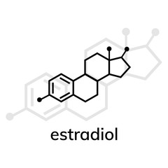 Estradiol vector icon with shadow on white background