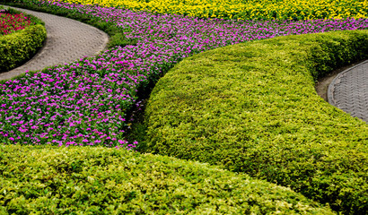 Luxury landscape design of the tropical garden. Beautiful view of tropical landscape