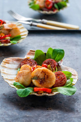 Spiced scallops with chorizo and chili in shells