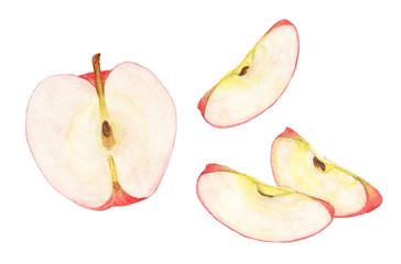 Watercolor hand drawn Group of ripe red apples. Isolated eco natural food fruit illustration on white background.