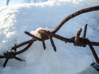 Snow on a  barbed wire.