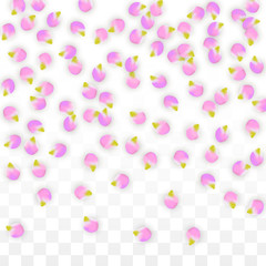 Vector Realistic Pink Petals Falling on Transparent Background.  Spring Romantic Flowers Illustration. Flying Petals. Sakura Spa Design. Blossom Confetti.