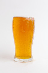 lager draft beer in a glass on white background	