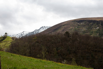 Fototapeta premium Snowy landscape in the mountains