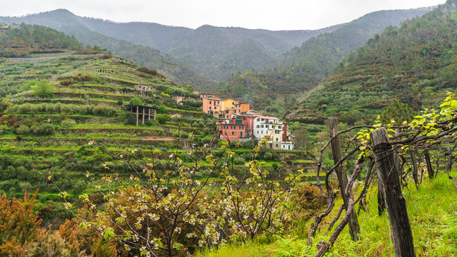 Groppo Images Browse 61 Stock Photos, Vectors, and Video Adobe Stock