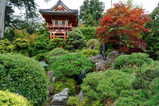 Japanese Garden in San Francisco