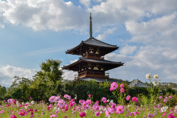 Fototapeta premium 法起寺