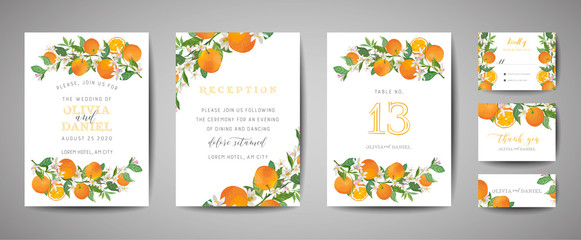 Set of Botanical wedding invitation card, vintage Save the Date, template design of orange, citrus fruit, flowers and leaves, blossom illustration. Vector trendy cover, graphic poster, brochure