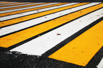 Fototapeta premium Modern yellow and white zebra crossing in the autumn Russian city