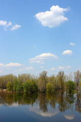 Fototapeta na wymiar Blue sky with heap clouds reflecting in the flooded river overgrown by the lush inundated forest in May
