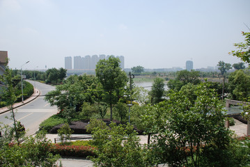 view from the park