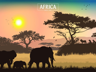 Fototapeta na wymiar African landscape. Grass, trees, birds, animals silhouettes. Abstract nature background. Template for your design works. Vector illustration.