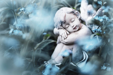 Guardian angel sleeping in blue flowers