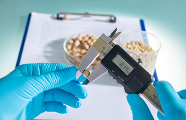 Researcher analyzing agricultural grains and legumes in the laboratory