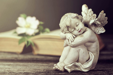 Little cherub sleeping. Angel, flower and book on wooden background