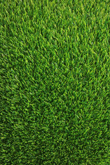 Vertical Image of Lush Green Grass Lawn for Background or banner