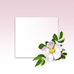 Mothers Day card. Square floral frame mockup