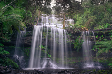 Naklejka premium Picturesque waterfall in the forest nature background