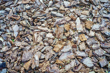 Pieces of tree bark. Texture, brown and gray background, horizontal abstract photography