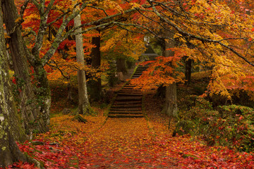 Colorful autumn leaves of Ryoon-ji temple , Sonobe, Nantan city, Kyoto prefecture, Japan.