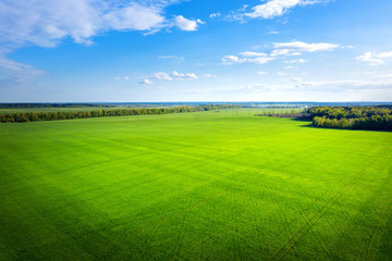 Green meadow and blue sky from above. Summer field on sunny day aerial view. Agriculture - obrazy, fototapety, plakaty
