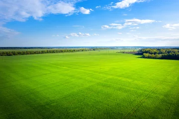 Fotobehang Groene weide en blauwe lucht van bovenaf. Zomer veld op zonnige dag luchtfoto. landbouw © dzmitrock87