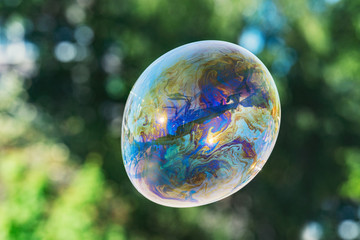 Soap bubble with rainbow colors on trees background.