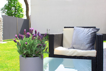 Moderner Garten mit Lavendel und Gartenmöbel