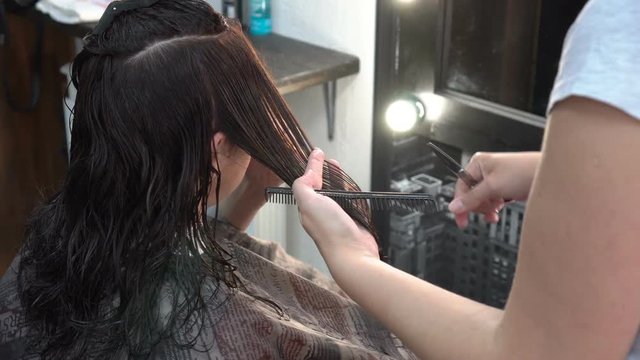 Woman hairdresser combs and scissors cuts the hair of a girl who sits in front of a mirror in the beauty salon. Close-up. 4K