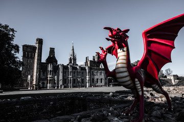 Cardiff Castle Dragon
