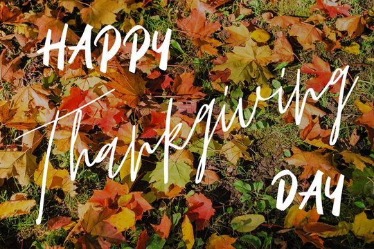 Happy Thanksgiving Greeting Card. , Fall Leaves Background and text Happy Thanksgiving Over. Add noise filter and blur.