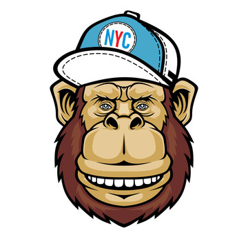 Smiling Monkey with cap hat.