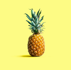 One pineapple on a solid color background