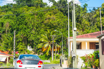 Small country road in Guadeloupe