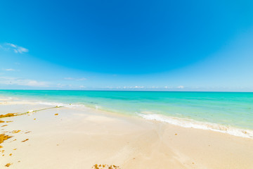 Fototapeta na wymiar Colorful shore in Miami Beach on a sunny day