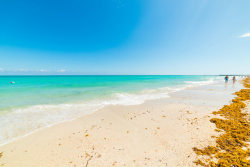 Turquoise sea in Miami Beach shore