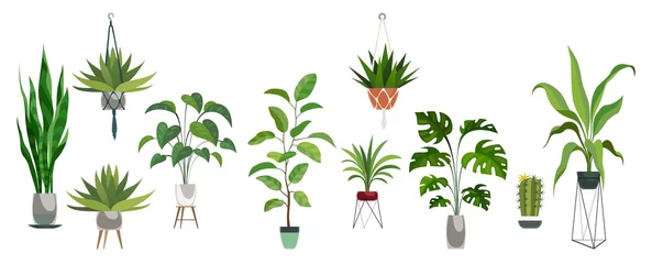 Fotobehang Pot plant set. Plants plastic decorative container and hanging styling indoor basket for potting tree vector collection © YummyBuum