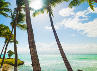 Turquoise water and palms in Bas du Fort beach in Guadeloupe