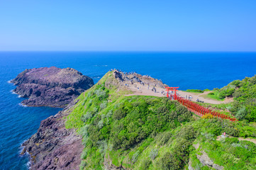 山口県元乃隅稲成神社の赤い鳥居