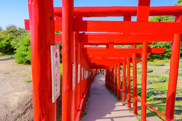 Fototapeta na wymiar 山口県元乃隅稲成神社の赤い鳥居