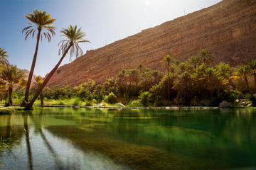 Amazing Lake and oasis with palm trees (Wadi Bani Khalid) in the Omani desert - obrazy, fototapety, plakaty
