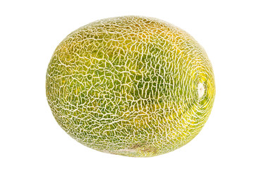 Whole melon isolated