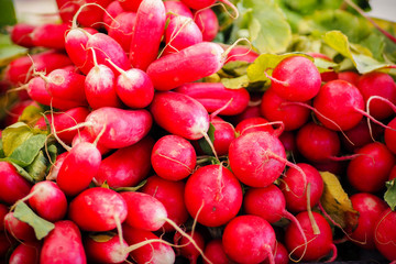 Fresh organic radishes on the market