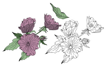 Hand drawn vector floral elements