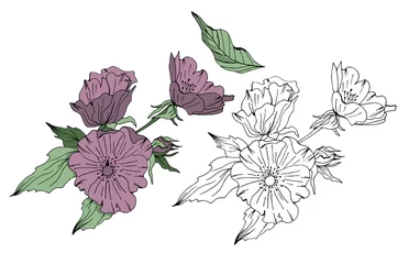 Behang Hand drawn vector floral elements © Анна Якунина