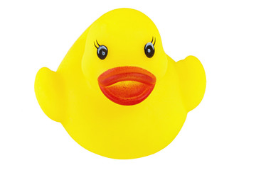 Yellow rubber duck isolated on white background