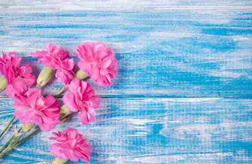 Floral background. Carnation flowers on a wooden background. A place for an inscription.