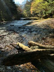滑川渓谷 Nametoko Valley.There are a lot of beautiful rocks in the valley.The highlight of this valley is Setsurin Waterfall, 