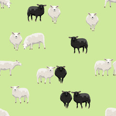 Seamless pattern. Clusters of white and black sheep on a green background. Vector for packaging, paper, prints and cards