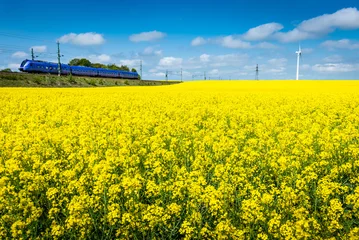  Train, rapeseed and wind turbine © Andreas